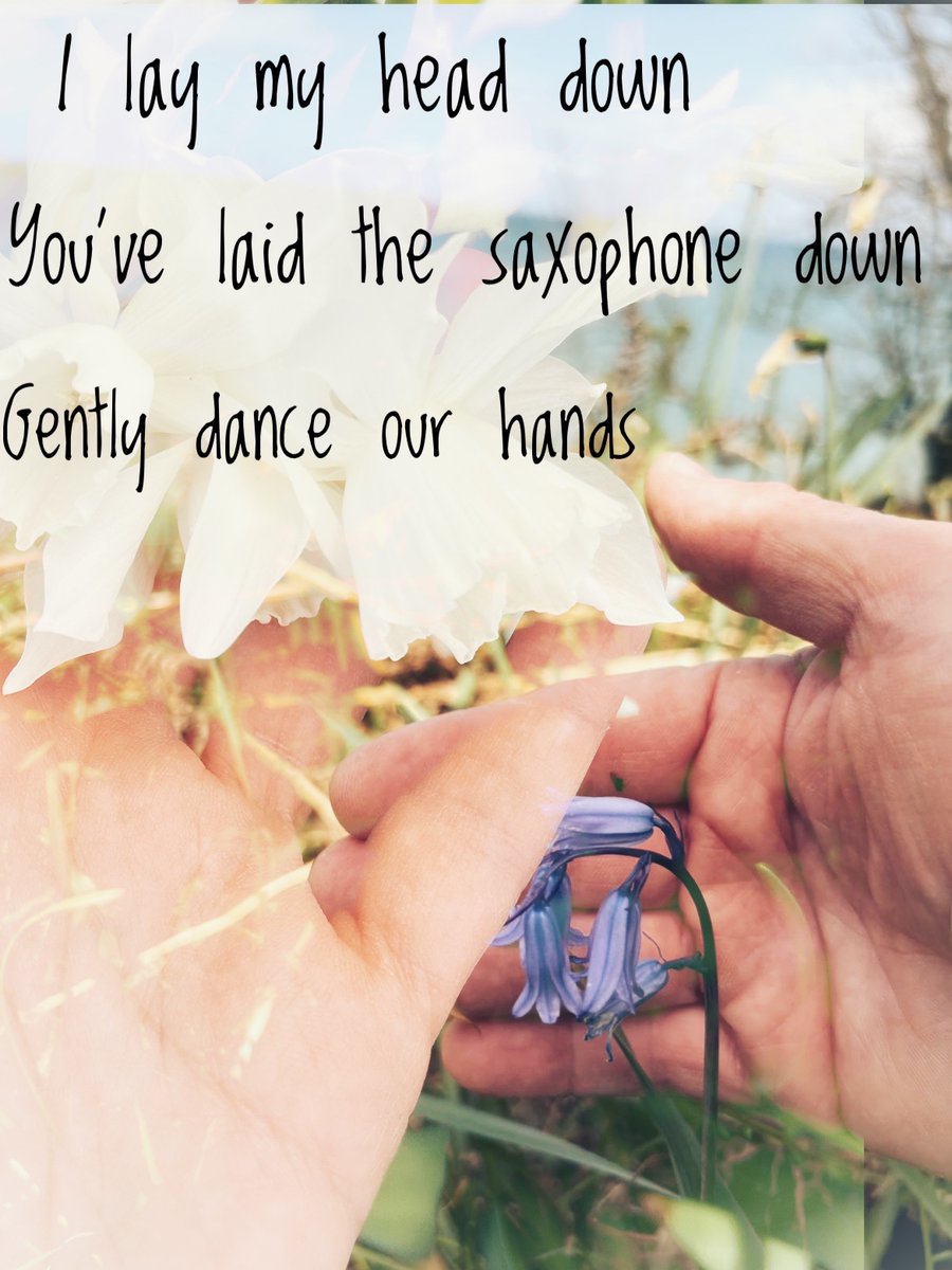 layineggs (@sparklebroom) on Twitter photo 