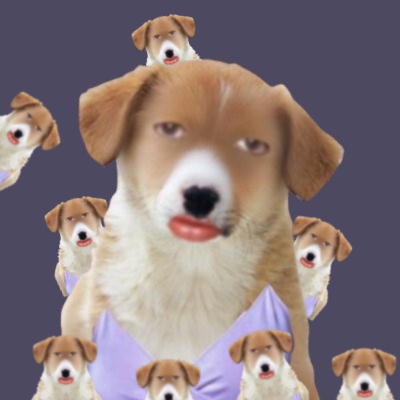 puppfys 🐕 tweet media