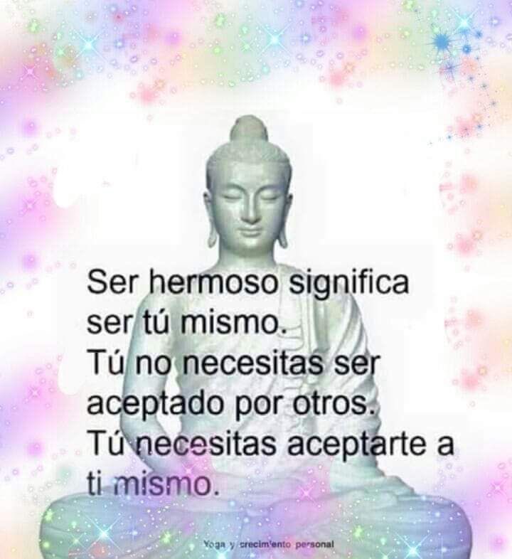 ivys_vibes's tweet photo. https://t.co/GaGAL1VWRO