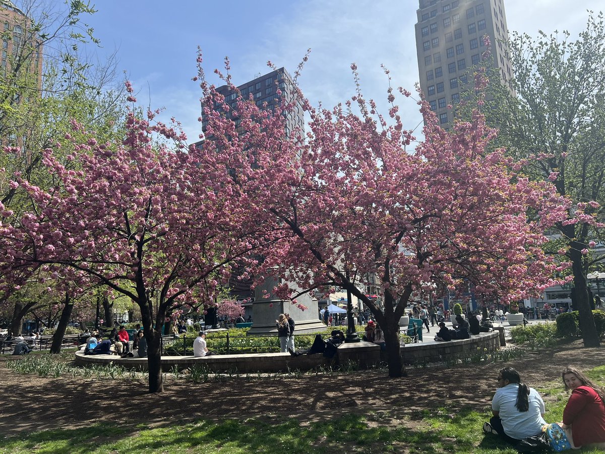 Union Square Park

Ah! The sun shining, 
April, cherry trees in bloom,
dogs, families walking.
—Rose Horowitz 

Grateful 🌸🌷🪻

#haiku #poetrycommunity