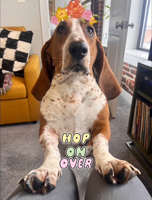 ASTIBoston's tweet image. We were EGG-cited to see that someBUNNY left some treats in our baskets!

Happy Easter from our team to you and your family &amp;amp; friends! How was your Easter egg hunt?!

#happyeaster #easter2025 #eastersunday