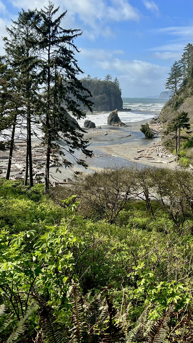 trokdrive's tweet photo. Ruby beach. Absolutely stunning!! One love. 

#washingtonstate
#pacificnorthwest
#pacificocean
#pacific
#westcoast https://t.co/smb5ZS2zQp