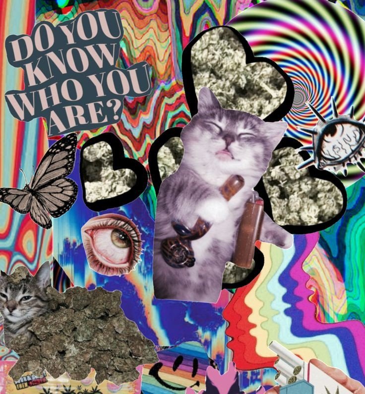 LaNorseKitty's tweet image. Happy #420day 💨
