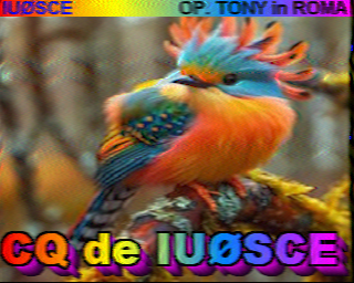 Wi-Fi Sheep Tech Channel tweet media