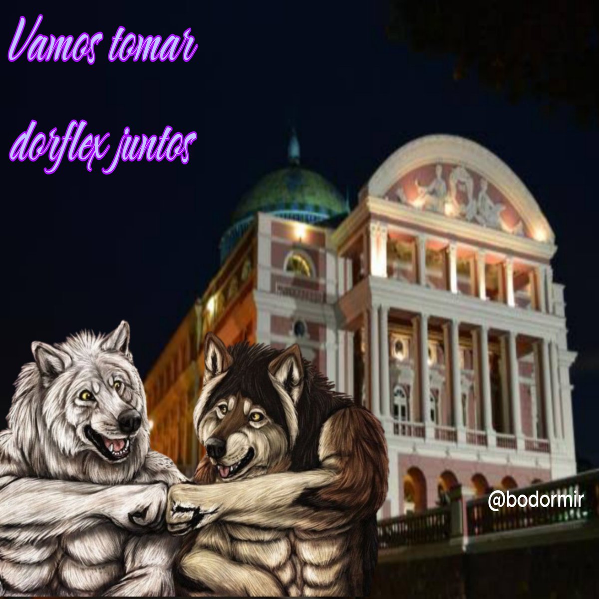 as vezes, dois kikães is janta🛌💤 (@bodormir) on Twitter photo 