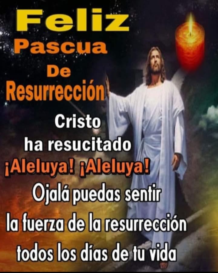 nardavasquez58 tweet media