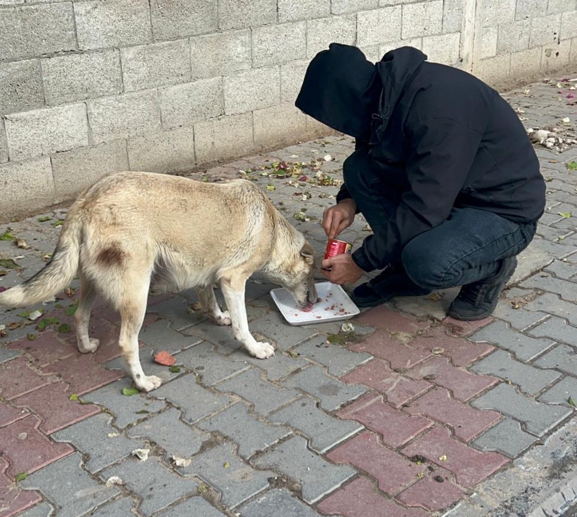 Pls continue to support Abdallah 
&amp; his family of humans &amp;fur 
Things are very difficult for them

They need food for themselves &amp;
the fur babies,everything is scarce
&amp; expensive 
Pls send them a donation 
Thank you🇵🇸
<a href="/RescueCare/">Salam animal care</a> 
paypal.me/umaimamohamed
gofund.me/22ca0e20