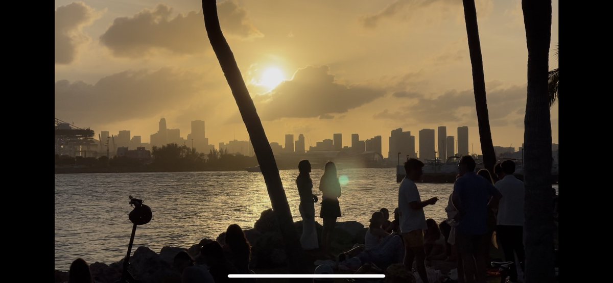 Elskipler tweet media