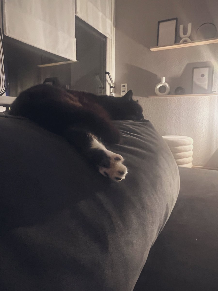 Gidin zıbarın yatışı tamda bu