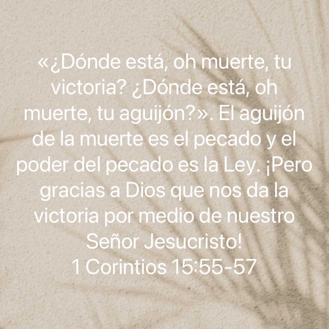 zevaz747's tweet photo. Jesús conquistó y venció la muerte!! https://t.co/aOzhXfDsvi
