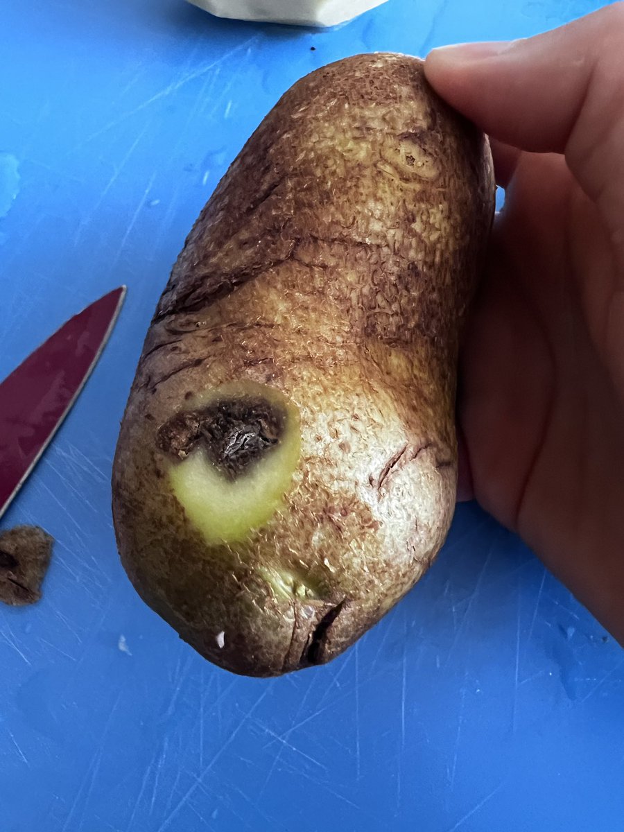 Kate Johnson tweet media