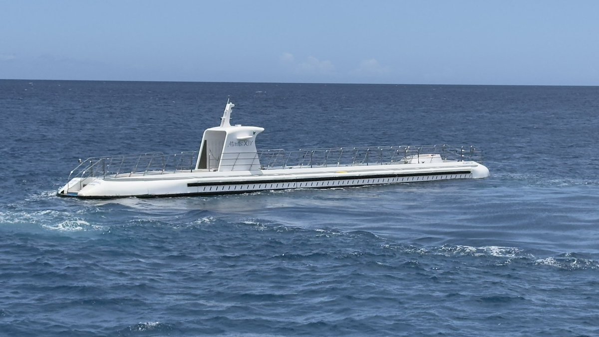 Matt Oram tweet media