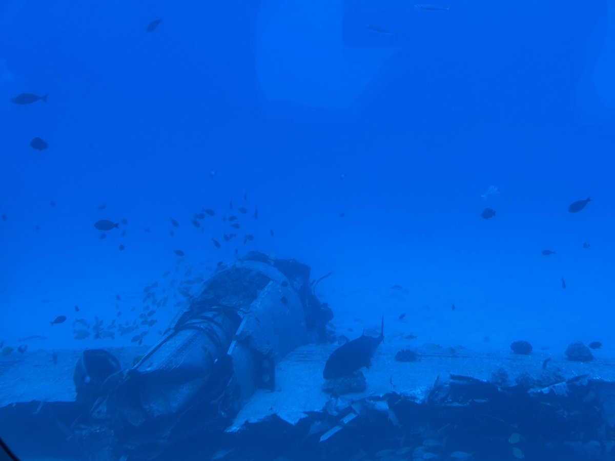 Matt Oram tweet media