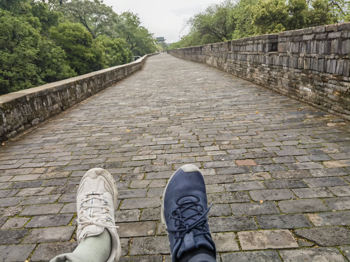 follow karma tweet media