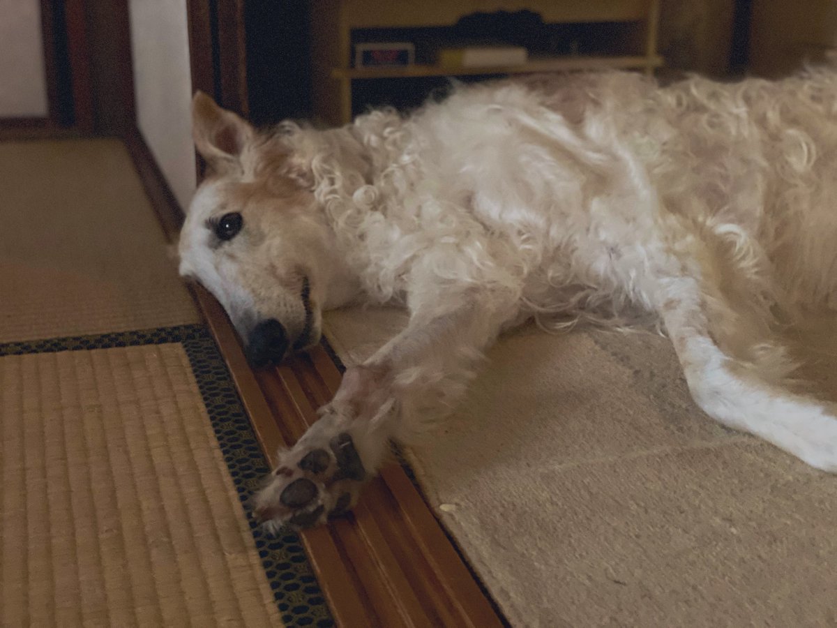 暑くなってきたね。がんぼるぞい。

translation:
It's getting hot.