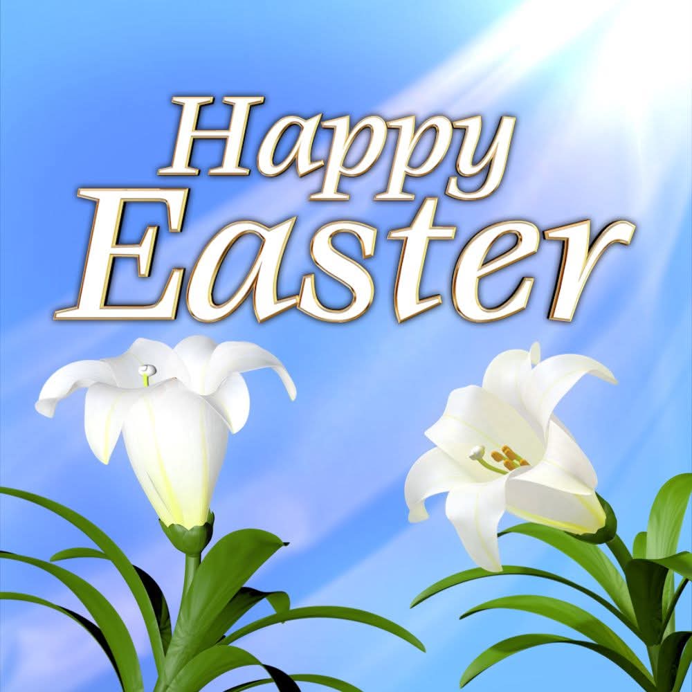 StRayElementary's tweet image. 