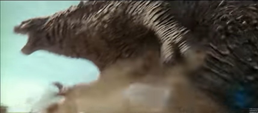 KoM_godzilla's tweet photo. (エッホエッホ！夏までに身体仕上げなきゃ！) https://t.co/Phth3SXYQ1