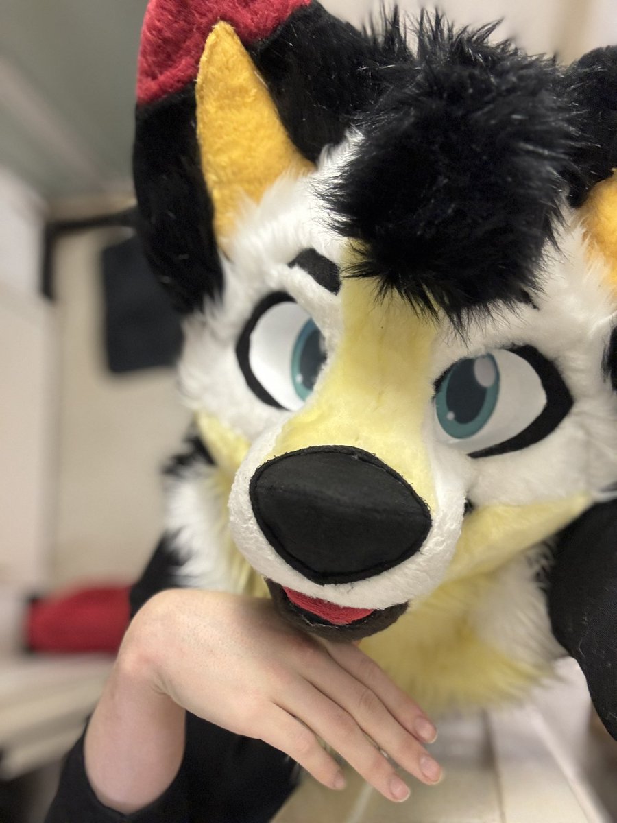 Jaco_La_Folfsky25 tweet media