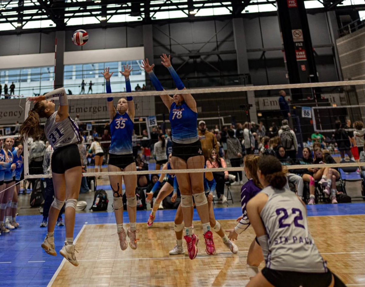 Piper_Smith tweet media