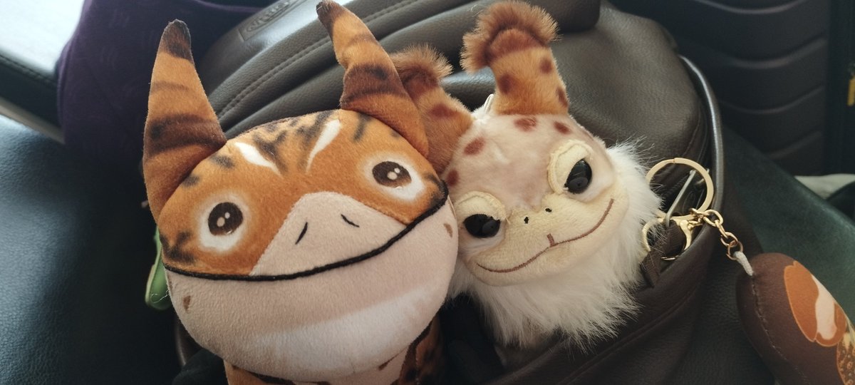 Mathildefrench's tweet image. It was a great trip, had a wonderful time at Celebration and hope to be back for the next one!
Obi and Wan are now waiting for their flight #SWCJ  #starwars #lothcat #SWC