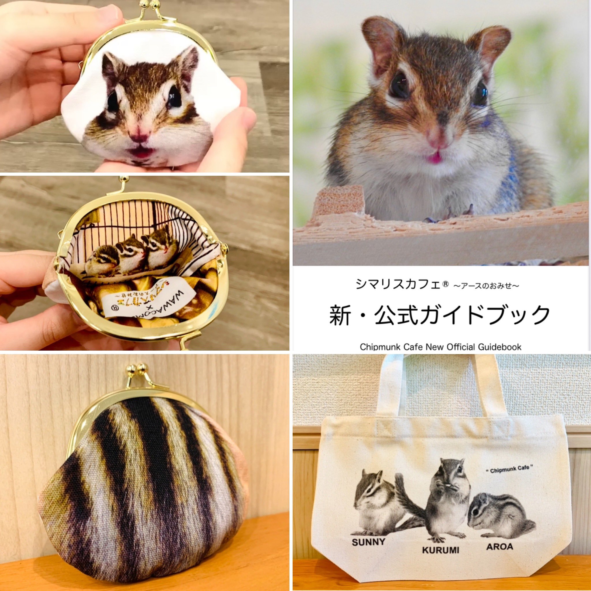 リス様 楽天市場】リス カラーウォールステッカー【Animal LIFE