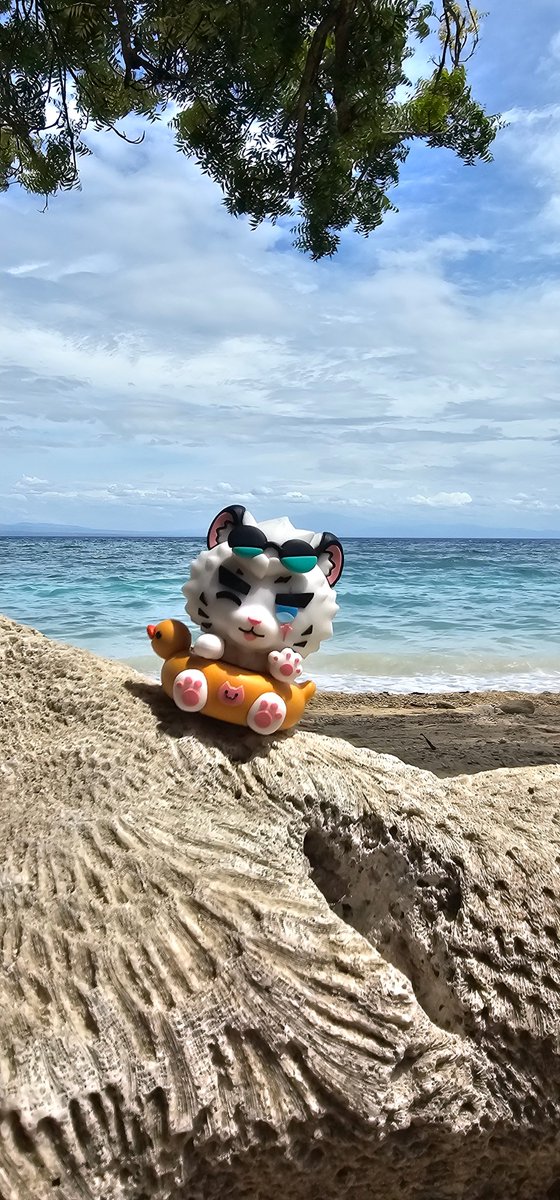 Mountain says hi from another beach ^^