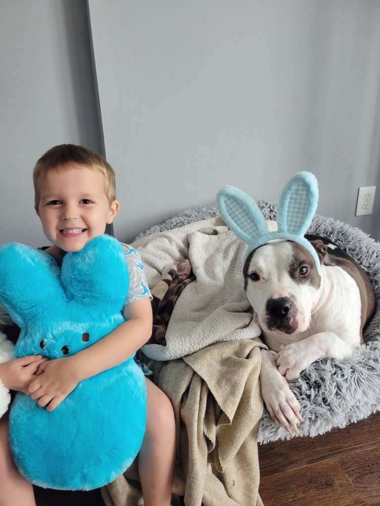 Jessica Shepherd tweet media