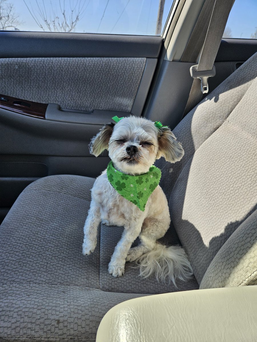 LoopedFruits tweet media