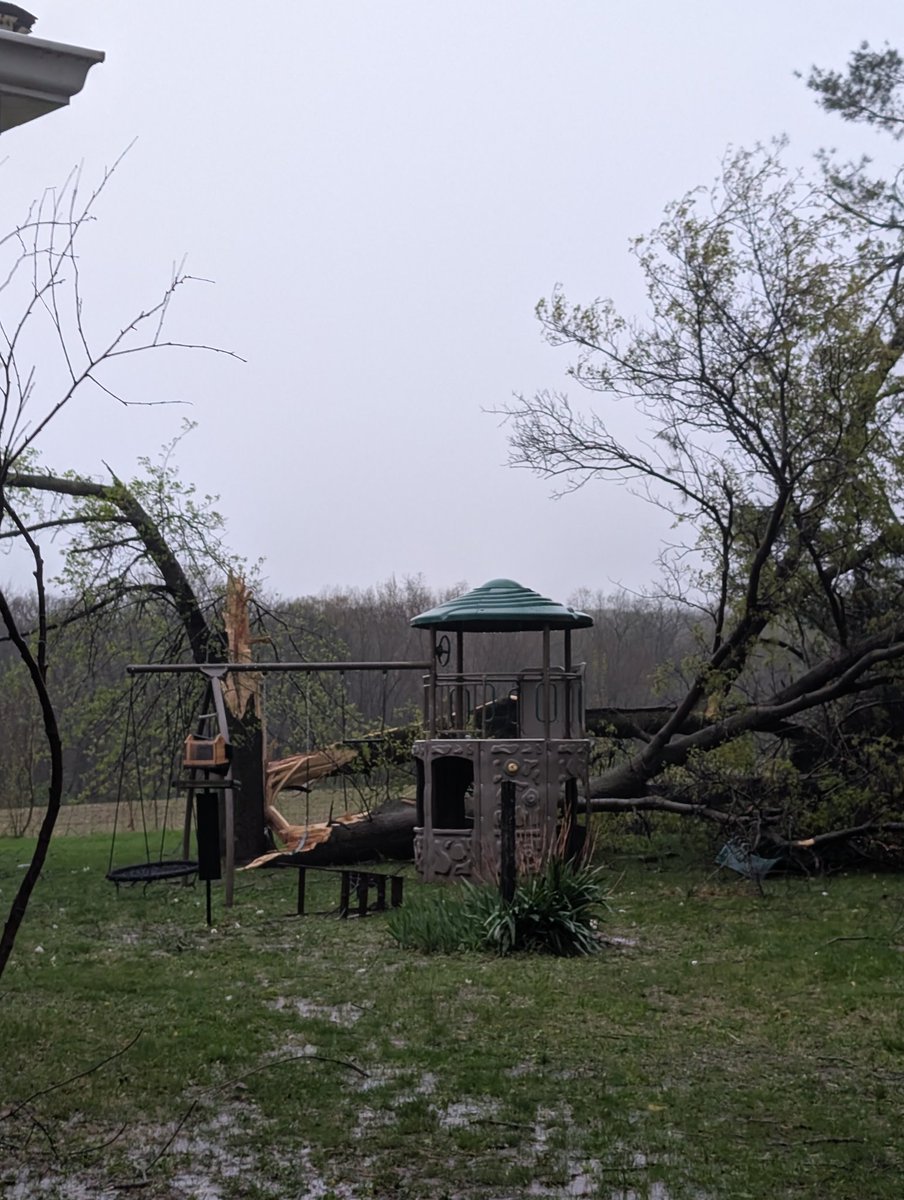 Quite a bit of storm damage from severe thunderstorms with embedded circulations that passed through Western Illinois this evening, particularly the Payson area in Adams County. #ilwx