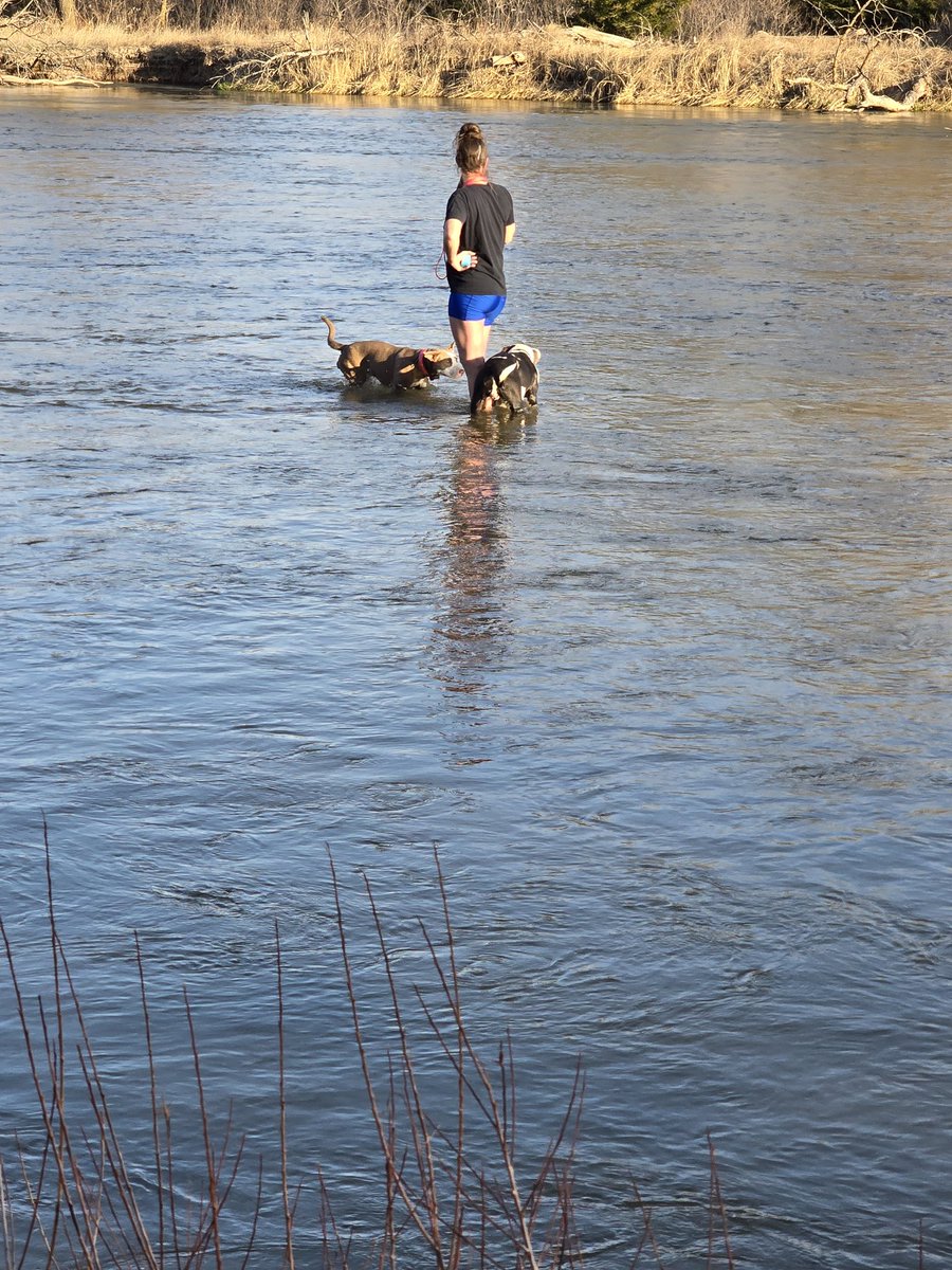Took the dogs to the river today. Happy Easter to all.