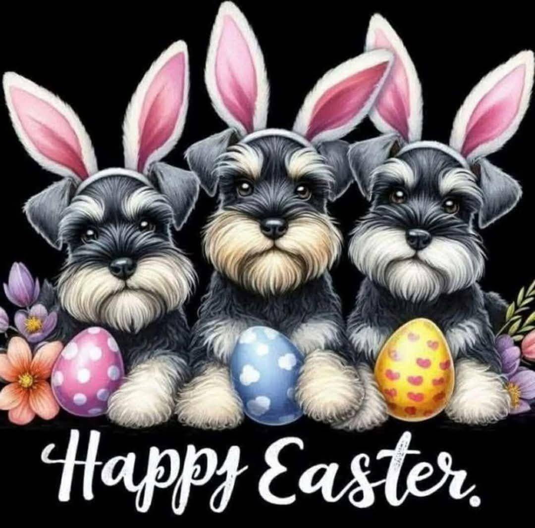 Zina1967's tweet photo. @reba @reba  
Happy Easter https://t.co/jZGSvItWrD