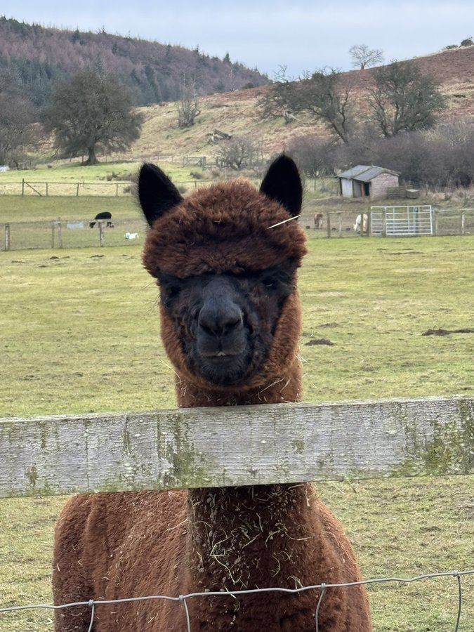 Do I look very serious?