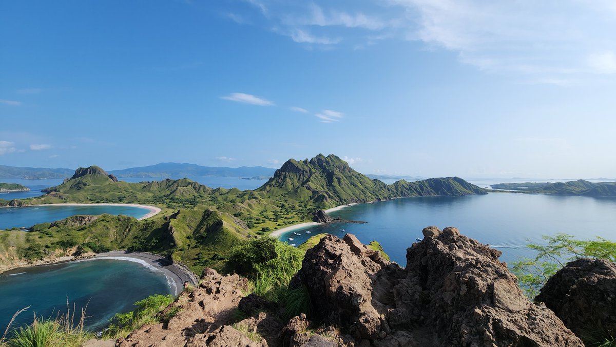 おひょう tweet media