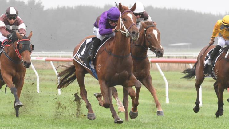 ♦️Another winner for BELARDO with <a href="/lisalattaracing/">Lisa Latta Racing</a> 2yo Belzoni clearing maiden ranks at Waverley.

Congrats to breeders Don Dame Wendy Pye 👏👏

Purchased out of our 2024 <a href="/KarakaChat/">New Zealand Bloodstock</a> draft.

loveracing.nz/News/49037/Bel…