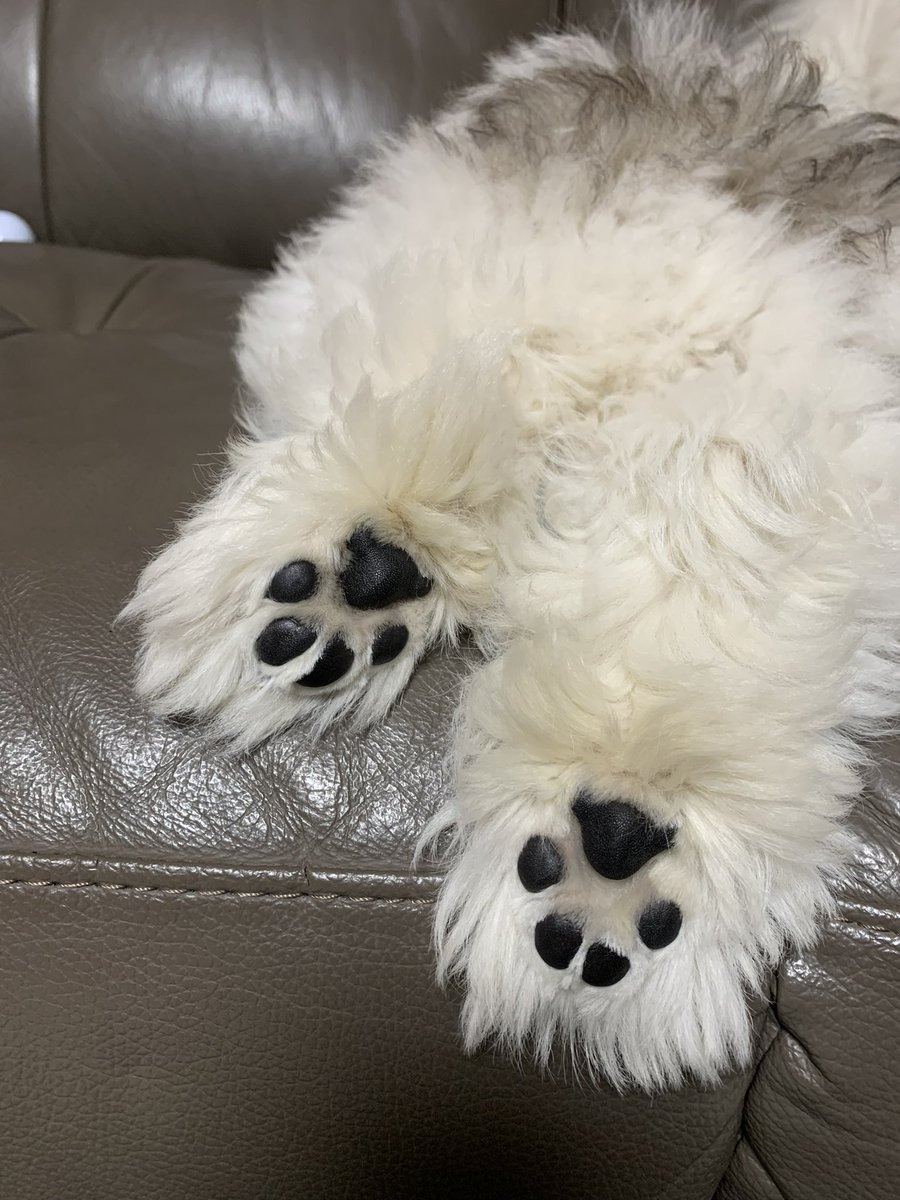 아기궁둥이 아기발바닥 보면서 월요일 힘내자