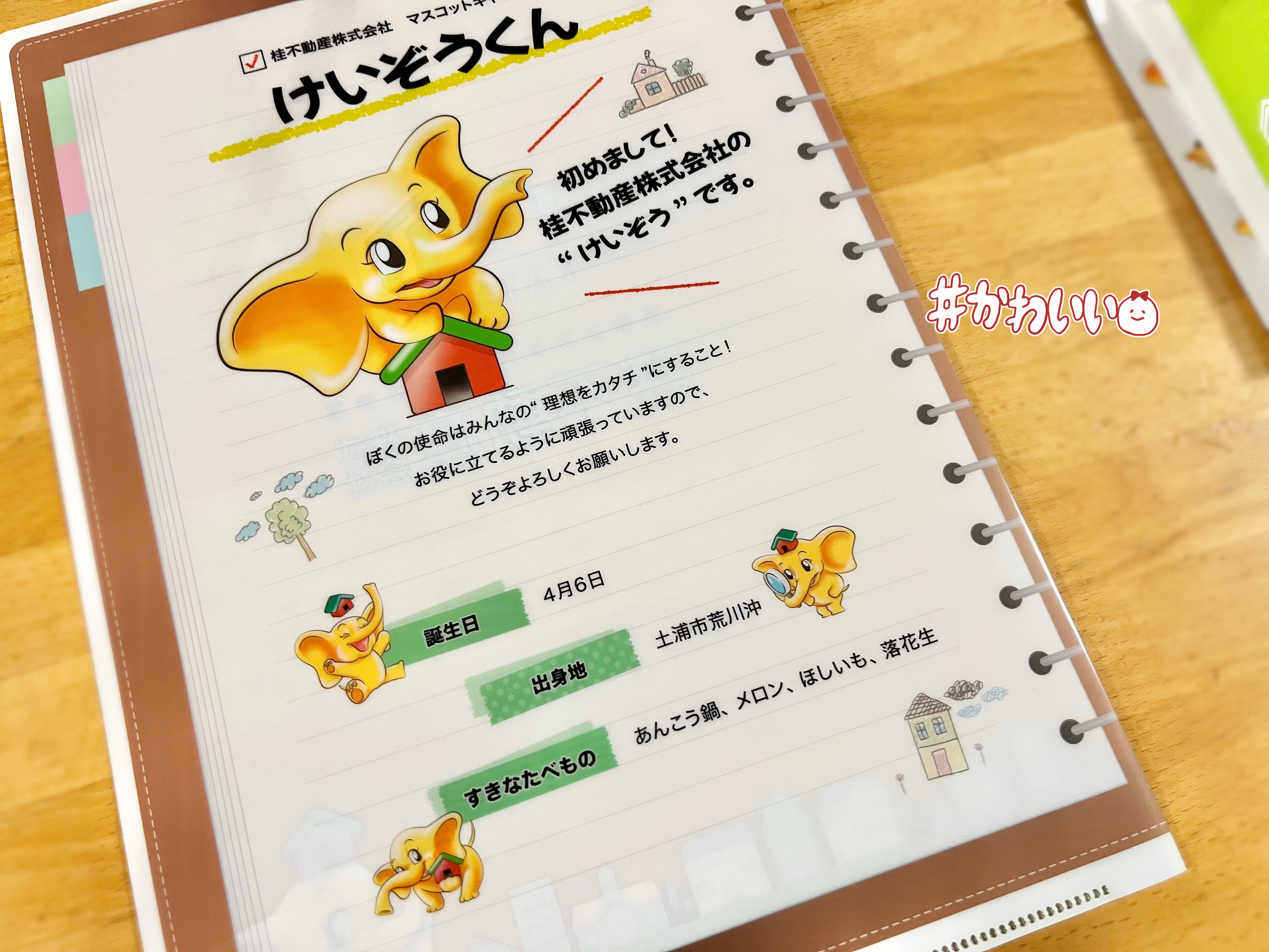 ゆっこ様　御確認用ページです。 ゆっこ様ご確認ページ✩.*˚ ゆっこ様 御確認用ページです。 楽天