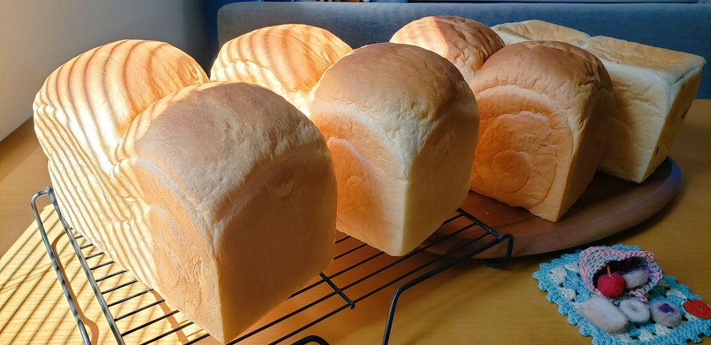 ow6c_c's tweet image. #私のこんな一面知ってください
パンやお菓子作りが大好きです😊
以前は知り合いに頼まれて定期的に食パンを焼いていました🍞
仕事復帰と伴にそれも出来なくなってしまったけど、また食べたいと言ってくれる有難いオファーも🤗
早くそんな時間の余裕ができるといいな～
#fammスクール