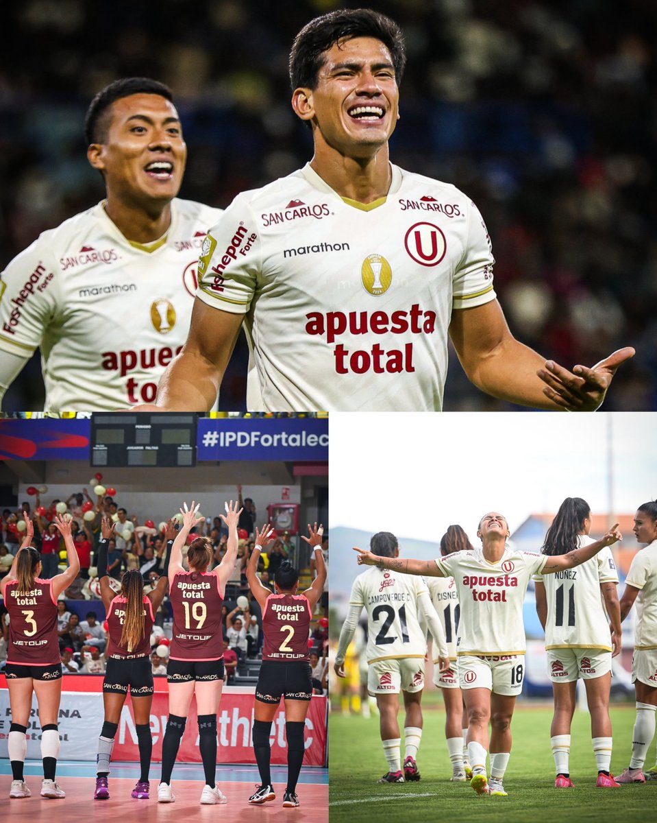 ¡SEMANA PERFECTA! 💛

✅ <a href="/Universitario/">Universitario</a>: Triunfo en Juliaca y punteros a falta de un partido.

✅ <a href="/FutFemeninoU/">Fútbol Femenino de Universitario</a>: Triunfo en Huancayo y punteras por diferencia de gol.

✅ <a href="/VoleyU1924/">Universitario Vóley</a>: Triunfo y pase a semifinales. 

#YDaleUEnTodasSusDisciplinas