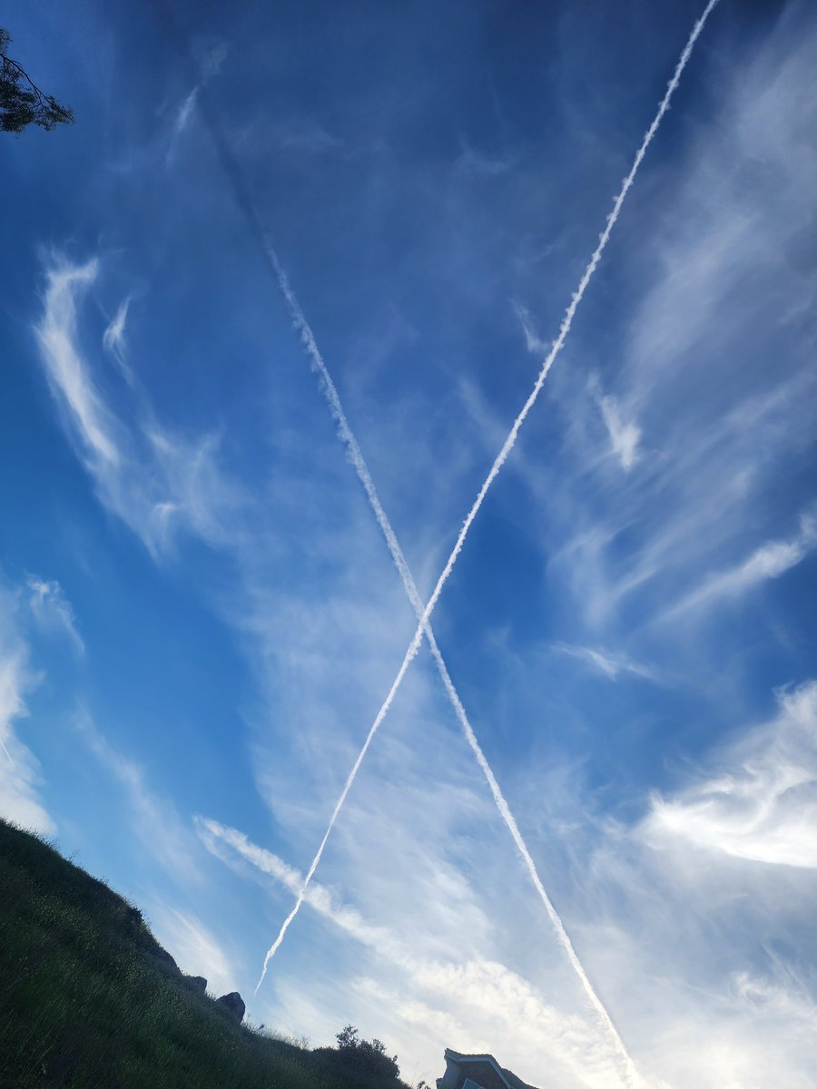 STANZMAN tweet media