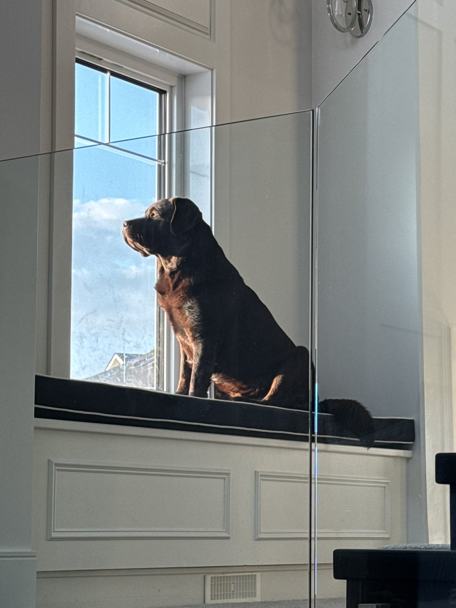 Laurie_13645's tweet image. Happy Easter! I am blessed to have an amazing family &amp;amp; thank them for all their help this weekend. ❤️🩷 Leo appreciated as well! #HappyEaster #family #busyweekend