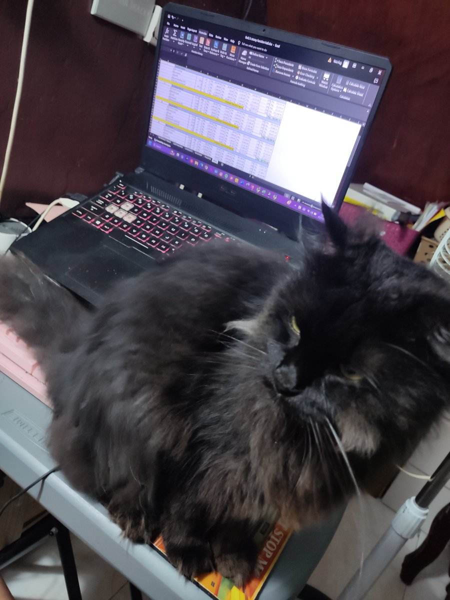 No more pending tasks. 
LF clients
#AutoCAD #Sketchup #Engineering
Floor plan
Elevations
Perspective
Electrical plan
Plumbing plan
Structural plan
Foundation plan
Construction Estimates BoQ BoM
Structural Analysis
STAAD