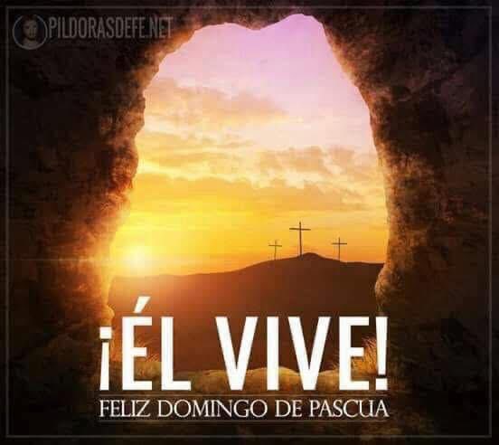 armandiux2012's tweet image. 