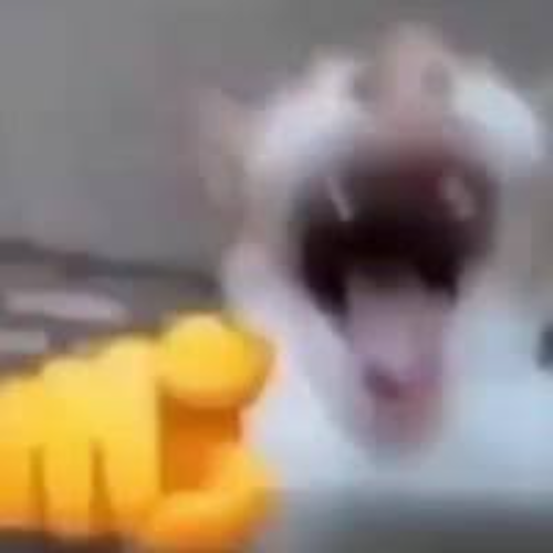 Lenny ᗜˬᗜ tweet media