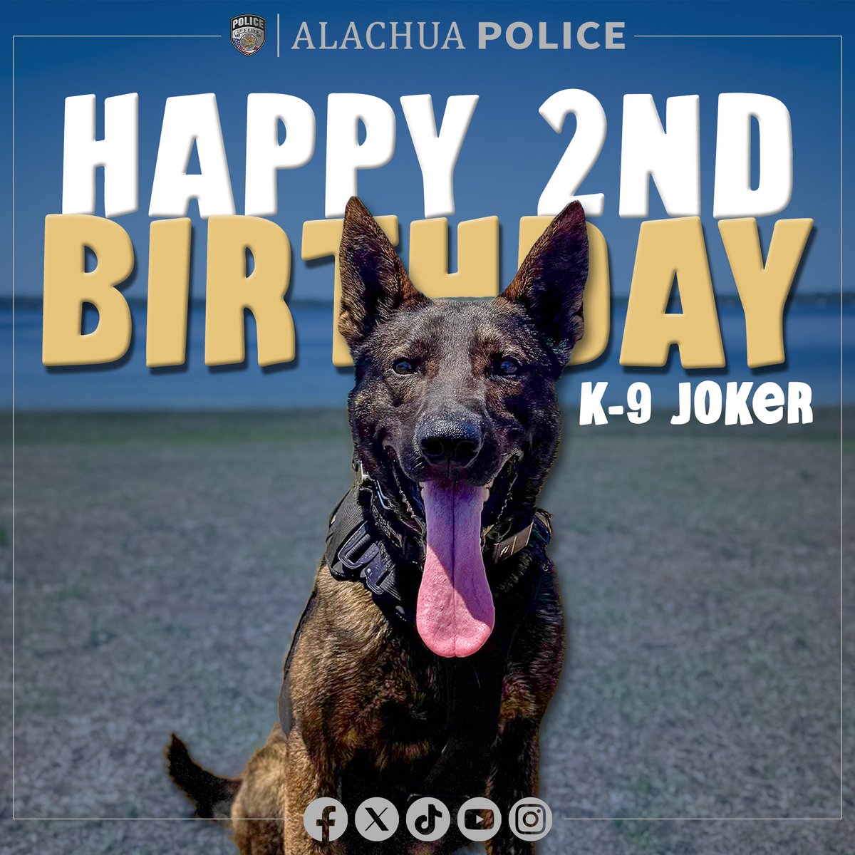 Alachua Police Department tweet media