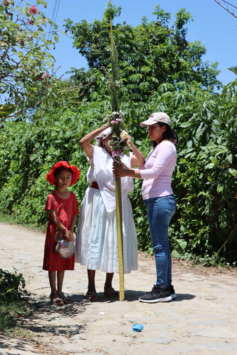 nabordecampos's tweet photo. Secuencia de arreglo floral. https://t.co/zRRagwErvj