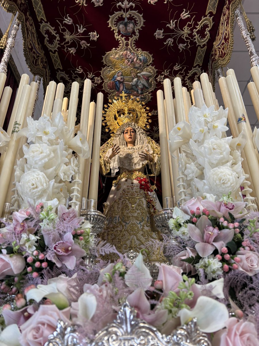 andreasan_28's tweet photo. Esta semana santa me ha dejado un vacío muy grande , un año entero esperándote para verte lucir por las calles y solo tú decidiste lo mejor , ahora solo queda soñar con el próximo lunes santos 💜 https://t.co/W2WAoTPwRb