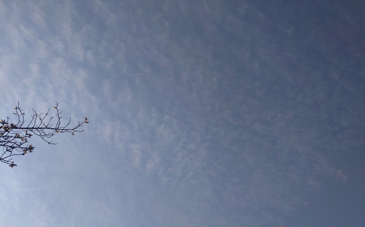 emirie223's tweet photo. 優しい風が吹く空
心が穏やかになるよ
空を見上げれば
悩みも忘れられる
優しい光差す空
幸せを運んでくれる
空に願いを込めて
笑顔で歩いていこう
優しい色彩の空
夢を叶える場所
空に誓いを捧げて
明日への道を歩もう
優しい空に包まれて
心が満たされる
空が見守ってくれる
ずっと側にいてくれる https://t.co/vh6ji2wJkz