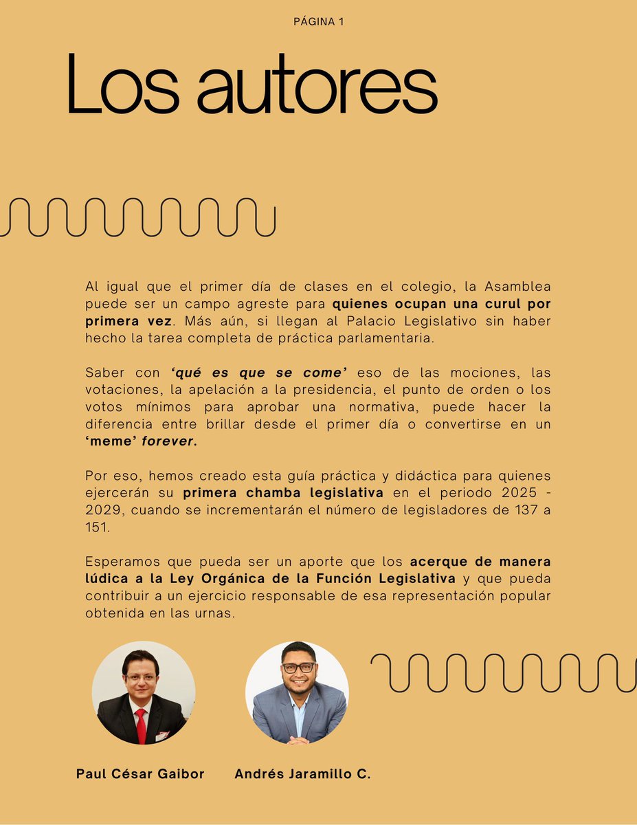pcgaibor's tweet photo. Me place compartir con ustedes esta nueva guía legislativa que elaboramos con el apreciado @andresgaj y que estará  en circulación gratuita este lunes 21 de abril de 2025. Diseñada para quienes estarán en su primer periodo en la @AsambleaEcuador https://t.co/QWEoQ5BR0Y