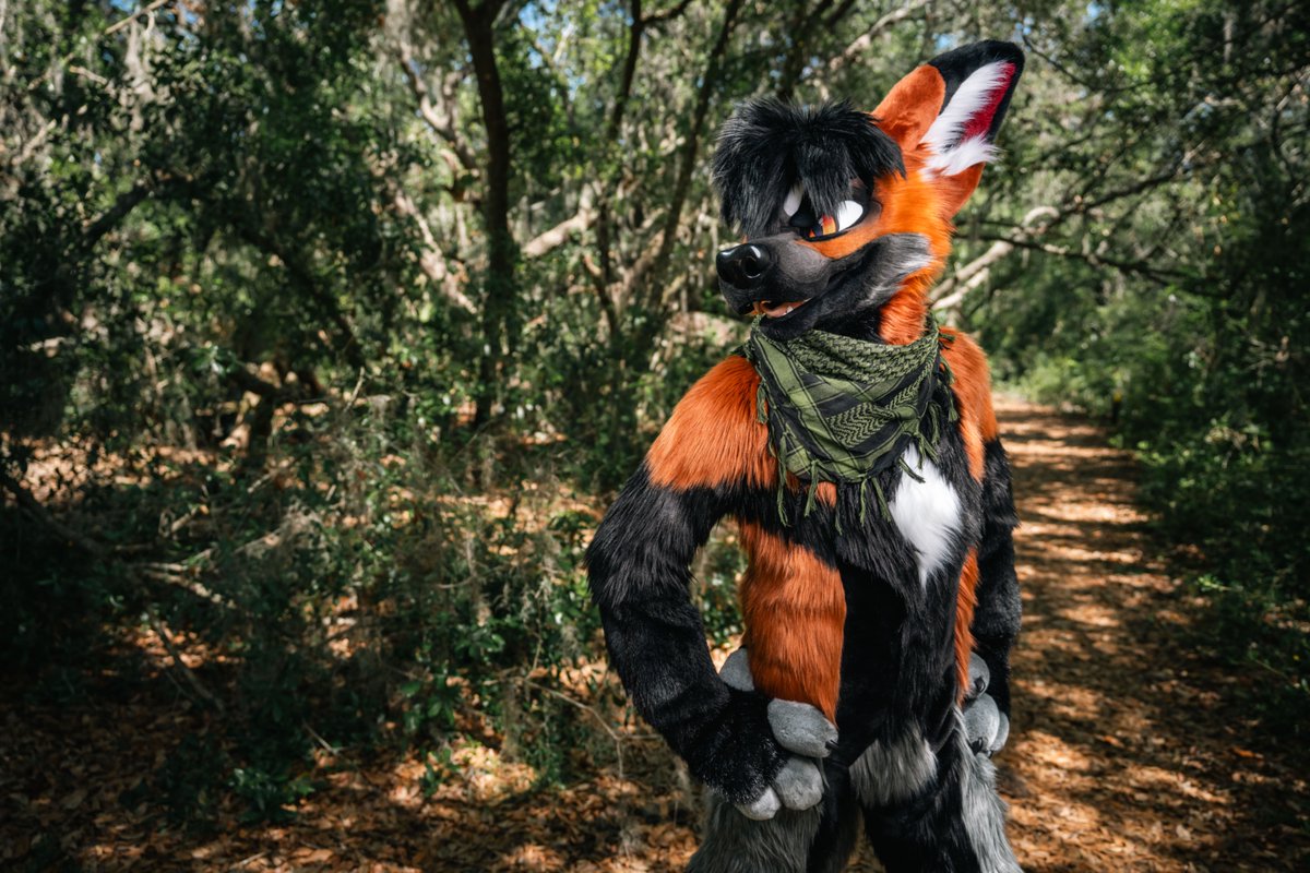 🦊🦊🦊
🪡 <a href="/mixedcandy/">Mixedcandy Inc</a>