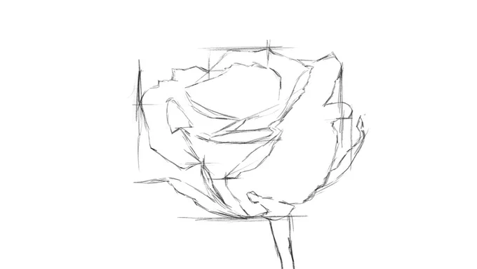 1時間30分くらいで描いたバラの花の描き方。1.下描きする。2.ざっくり色を塗る。3.少しずつ描き込んでいく。4.完成! 